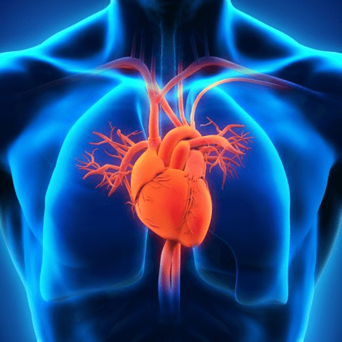 Case Study: Improving Microvascular Function to Decrease Cardio Risk