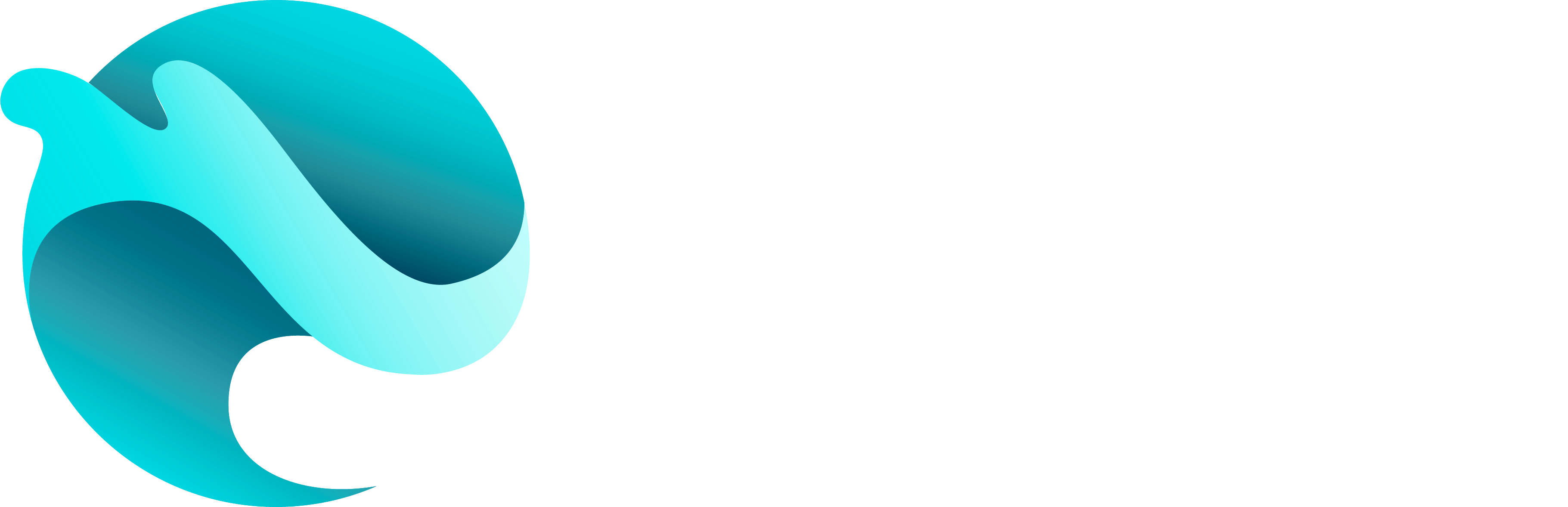 WaVS: Variable Speed System logo